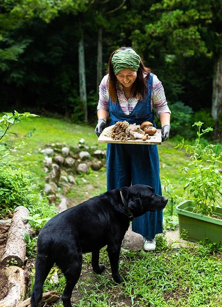 The Autumn Harvest for Your Hair: Discovering the Power of Mushrooms for Healthy Scalp Care