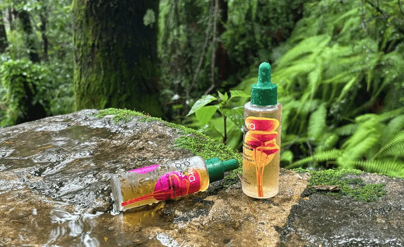 Explore More Than Just “Key Ingredients"